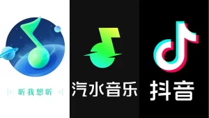 汽水音乐是否支持高品质音频播放？全面解析