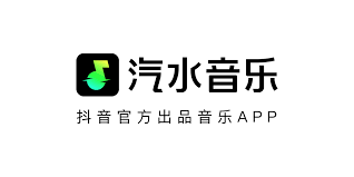 汽水音乐是否支持高品质音频播放？全面解析