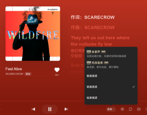 汽水音乐是否可以定制推荐内容？全面解析